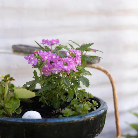 Appartamento Kargoll-1 By Interhome